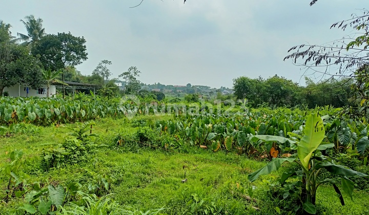 10 Menit Ipb Dramaga Kavling Strategis Free SHM 10 Menit Ipb Dramaga Kavling Strategis Free SHM