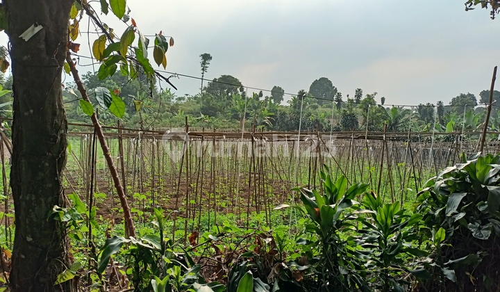 Lokasi Strategis Area Wisata Kavling Villa Tamansari Harga Termurah Free SHM Lokasi Strategis Area Wisata Kavling Villa Tamansari Harga Termurah Free SHM