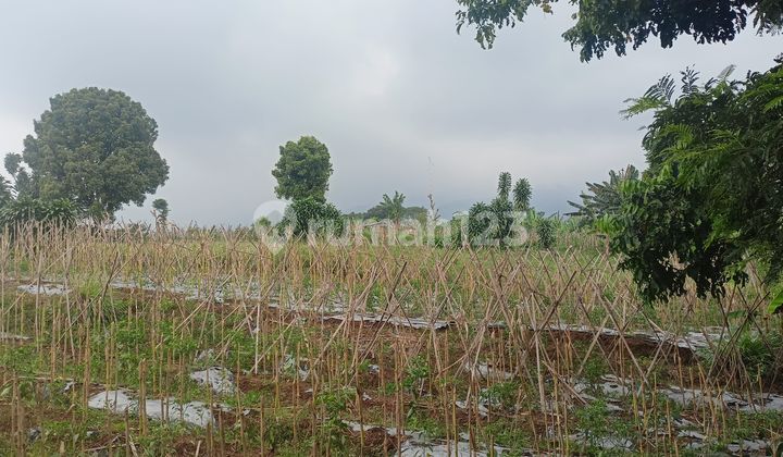 Lokasi Strategis Area Wisata Kavling Villa Tamansari Harga Termurah Free SHM Lokasi Strategis Area Wisata Kavling Villa Tamansari Harga Termurah Free SHM