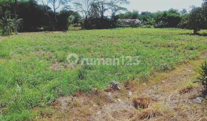 Kavling Strategis 1Jt-An Lingkungan Nyaman Free SHM