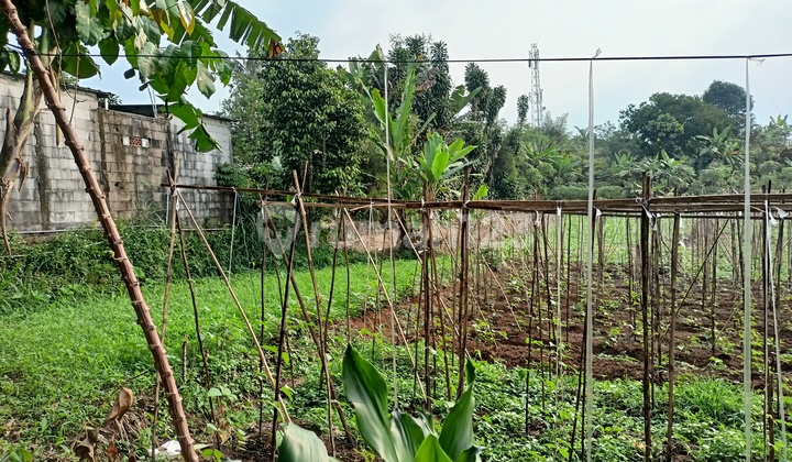 Kavling Strategis Area wisata Tamansari Bonus iPhone 17 Pro Kavling Strategis Area wisata Tamansari Bonus iPhone 17 Pro