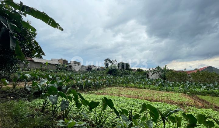 Kavling 10 Menit Stasiun Cilebut Diskon 25jt