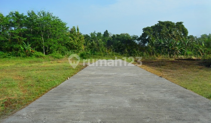 10 Menit ke Stasiun Bojonggede! Kavling Murah FREE SHM Bisa Cicil 12x Tanpa Bunga 1