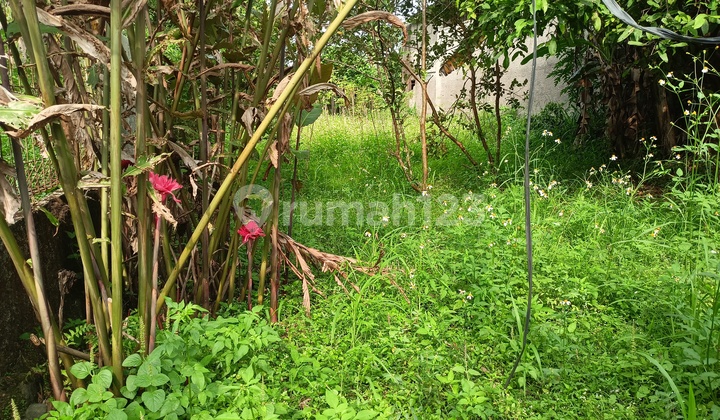 Harga Promo! Tanah Siap Bangun Di Laladon Lokasi Strategis 4 Menit Jl. Raya Laladon