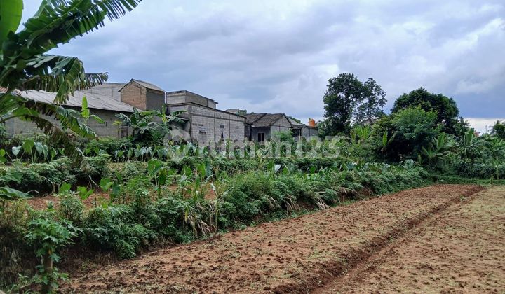 Launching Price! Strategic Plots with Amazing Low Prices, 10 Minutes to Cilebut Station Launching Price! Strategic Plots with Amazing Low Prices, 10 Minutes to Cilebut Station