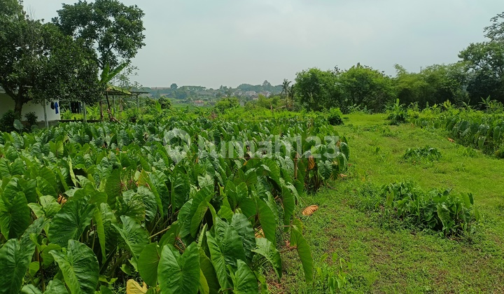 Strategic Plot 10 Minutes to IPB Dramaga Free SHM