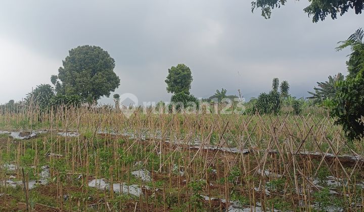 Kavling 1jt-an Lokasi Strategis Di area Wisata Diskon 25jt Kavling 1jt-an Lokasi Strategis Di area Wisata Diskon 25jt