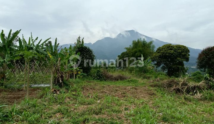 Kavling Diskon 25 Jt 2 Menit Camping Ground Paguyuban Gunung Salak