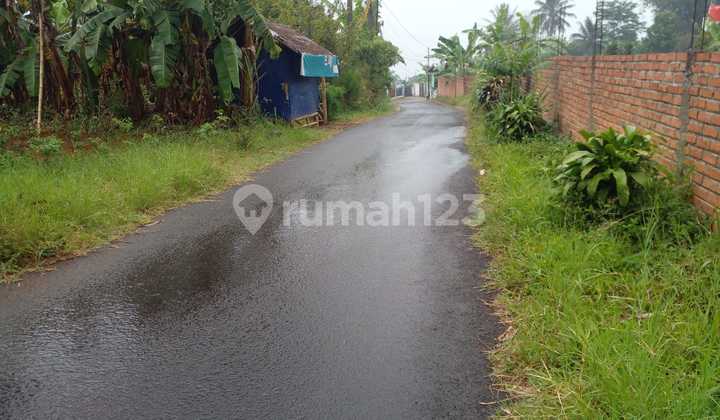 Tanah Premium 5,2 KM Pintu Tol Caringin / Bocimi Imlek Bonus Angpao Emas Tanah Premium 5,2 KM Pintu Tol Caringin / Bocimi Imlek Bonus Angpao Emas