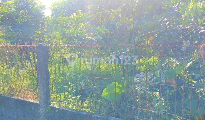 Land Ready to Build 4 Minutes from Laladon Main Road, SHM Certificate