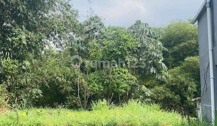 Profitable Prospects 16 Minutes to Bogor Botanical Gardens Free SHM