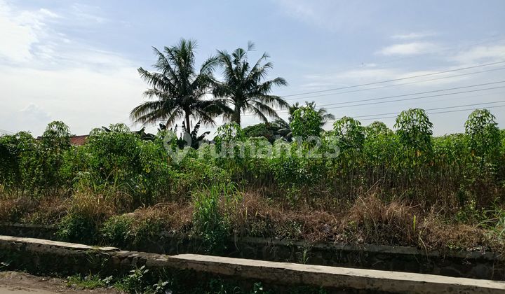 Land Plot Installment 9 Minutes to Cilebut Station + Free SHM Land Plot Installment 9 Minutes to Cilebut Station + Free SHM