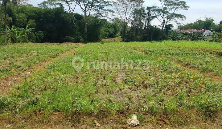 1 KM to Candali Village Office Land SHM Discount 15 Million