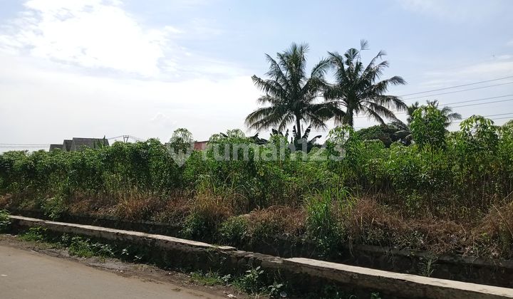 Ready to Build Plot with Free SHM Certificate, 9 Minutes from Cilebut Station. Ready to Build Plot with Free SHM Certificate, 9 Minutes from Cilebut Station.