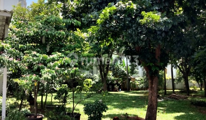 Affordable Hook Lots Foresta Cluster Fresco Aria BSD City Tangerang