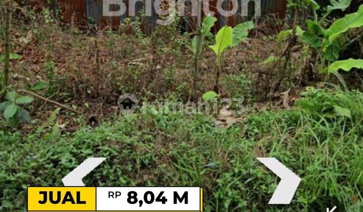 Teritip Pinggir Aspal Shm Teritip Pinggir Aspal Shm