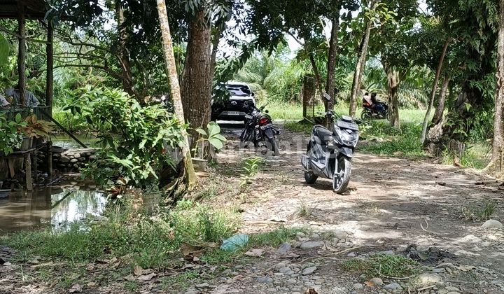 Lahan Kosong Di Batang Kuis