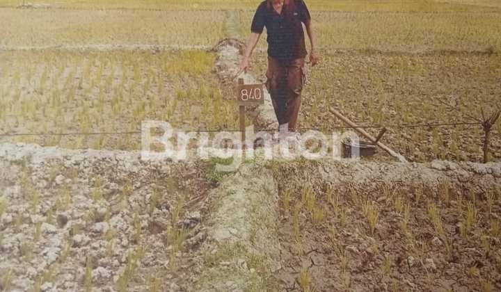 Givenci One Side Plot Land