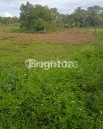 Tanah Kosong Namo Rambe Rumah Subsidi