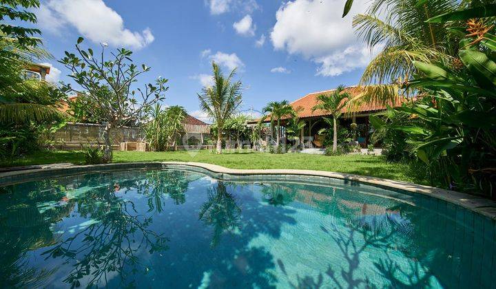 Villa For Rent Spacious, Beautiful, Comfortable, And Lush Located In Kedunggu, Tabanan, Bali 1