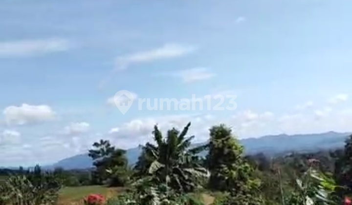 Tanah 20.222 M² Harga Jual 50% Njop | Bogor Selatan | Shm | Rp 100rb/m²