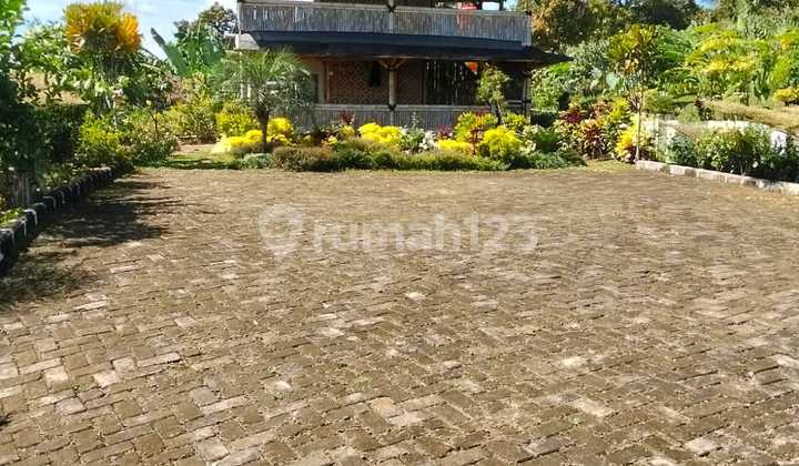 Tanah 20.222 M² Harga Jual 50% Njop | Bogor Selatan | Shm | Rp 100rb/m²