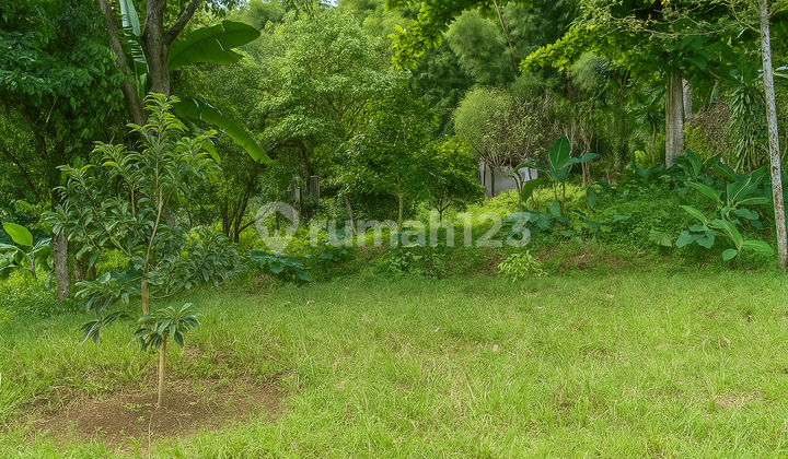 Dijual Murah Dan Cepat Tanah 11.000 M² Dekat Summarecon Bogor Harga 57% Dari Njop