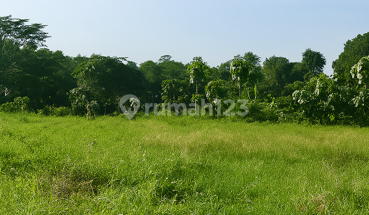 For Sale, Highly Strategic 9.7 Hectare Land in Bogor City, Selling Price ±45% of NJOP For Sale, Highly Strategic 9.7 Hectare Land in Bogor City, Selling Price ±45% of NJOP