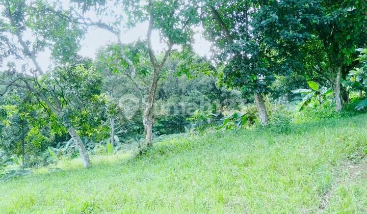 Dijual Murah Dan Cepat Tanah 11.000 M² Dekat Summarecon Bogor Harga 57% Dari Njop