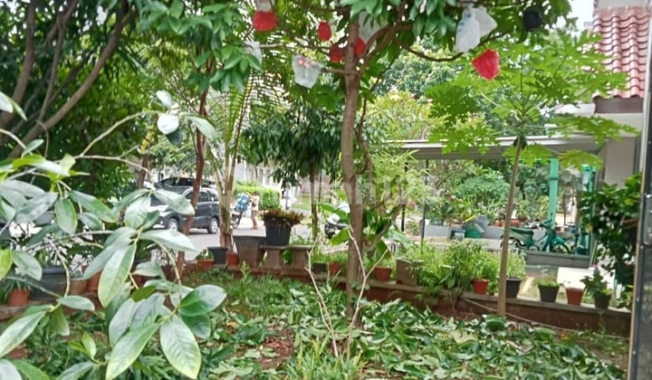 SHM House in Alam Sutera 2