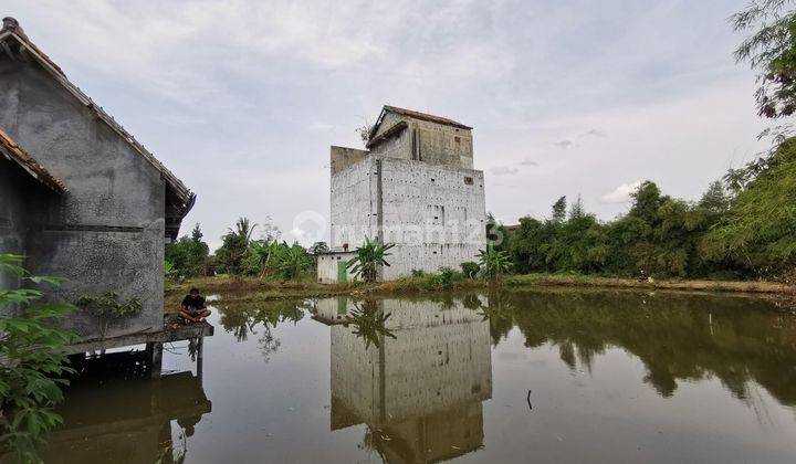 Rumah walet daerah metro 1