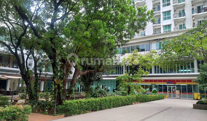 Jual Apartmen Woodland Park Kalibata, Tipe Studio 2