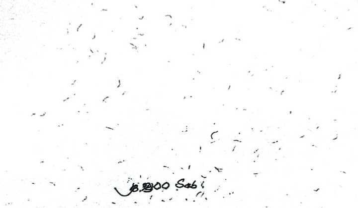 Tanah Strategis Siap Pakai di Lokasi Premium Puri Anjasmoro 2