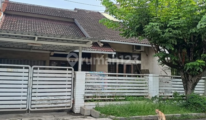 Rumah Strategis Siap Huni  Premium di Puri Anjasmoro 1