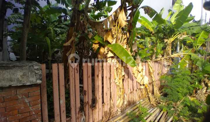 Kavling Lokasi Favorit di Pluit Timur Jakarta Utara