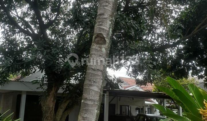 Dijual Cepat Rumah di Depok Luas 665 m2 6,5 M Nego 2