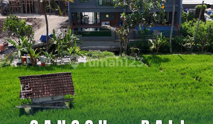 BRAND NEW MINIMALIST MODERN VILLA CANGGU 3 BEDROOM