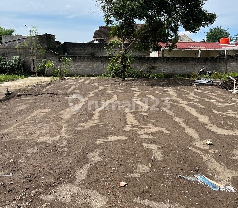 Tanah SHM Strategis Siap Bangun di Sleman Tanah SHM Strategis Siap Bangun di Sleman