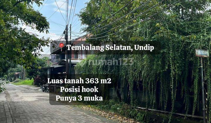 Tanah Murah Harga Dibawah Njop 2025 Area Kampus Undip Tembalang