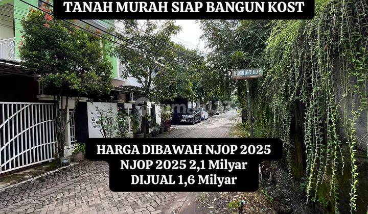 Tanah Murah Harga Dibawah Njop 2025 Area Kampus Undip Tembalang