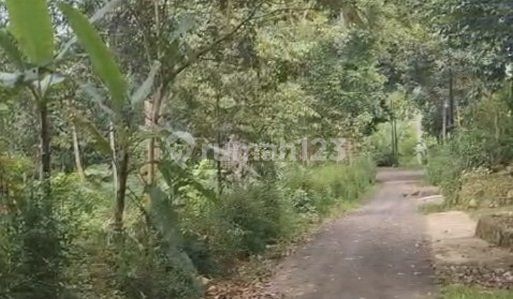 Tanah Murah Siap Bangun Hunian di Gunung Pati Semarang 1