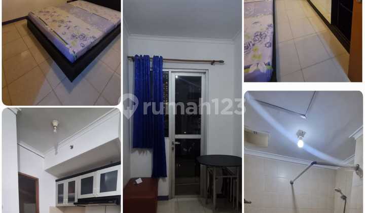 Jual Cepat Apartemen Murah 1 Kt Dimaple Park Sunter Jakut