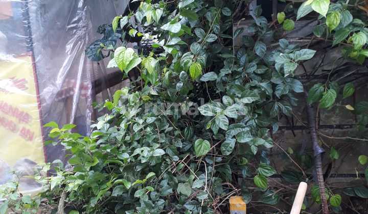 Jual Cepat Bu Tanah Strategis di Cikunir Bekadi Jawabarat