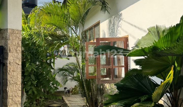 Luxury house for rent cheap furnished in the Seminyak wing