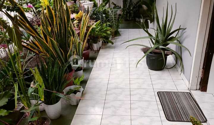 Jual Rumah Tua Hitung Tanah Daerah Tomang 2