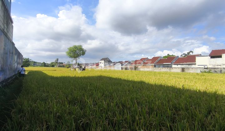 Dijual Tanah Cocok untuk Hotel/Tempat Usaha di Lombok