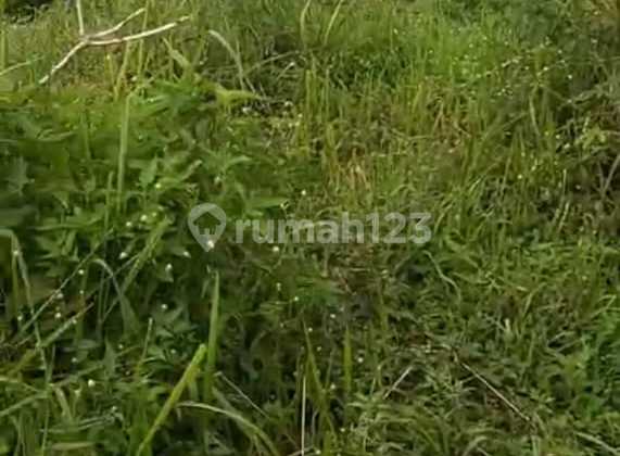 tanah murah strategis cocok untuk usaha apapun di garut tanah murah strategis cocok untuk usaha apapun di garut