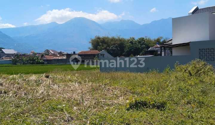 cheap land in tarogong garut cheap land in tarogong garut