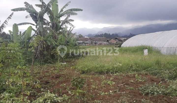 Tanah Murahtrategis di Ciwidey Kota Bandung