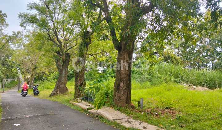 Dijual Tanah Di Tembalang Undip Semarang 2